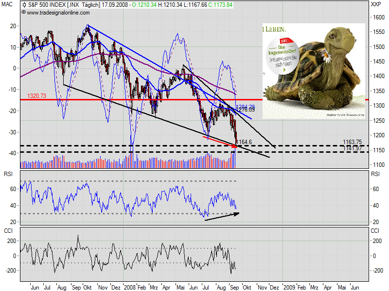 Die Bullen scharren gar nicht mit den Hufen, 186978