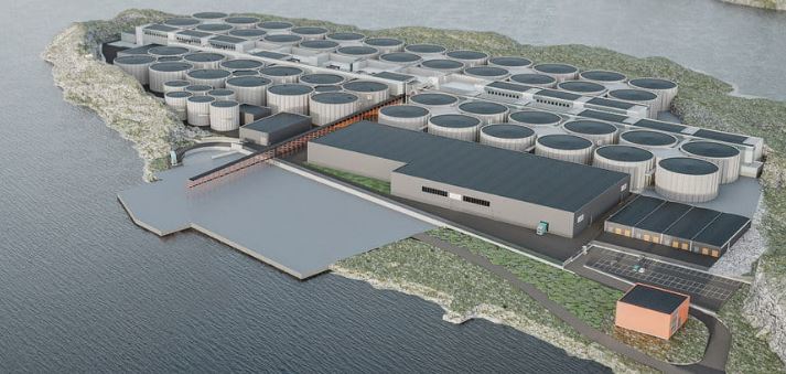 Salmon Evolution - landbasierte Lachszucht 1328684