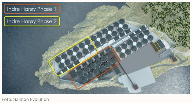 Salmon Evolution - landbasierte Lachszucht 1378395