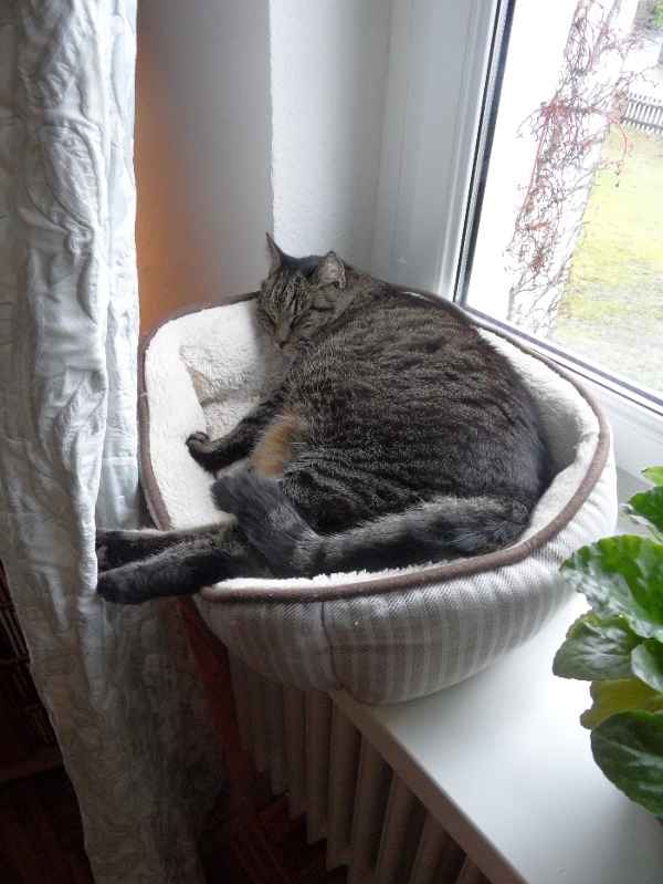 Coop SK Tippspiel (ehem. WMIH) 1151537