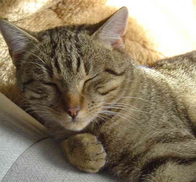 628.DAX Tipp-Spiel, Donnerstag, 27.09.07 122135