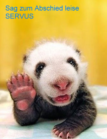 TISCON AG - Neustart nach Reanimation .... ??? 386275