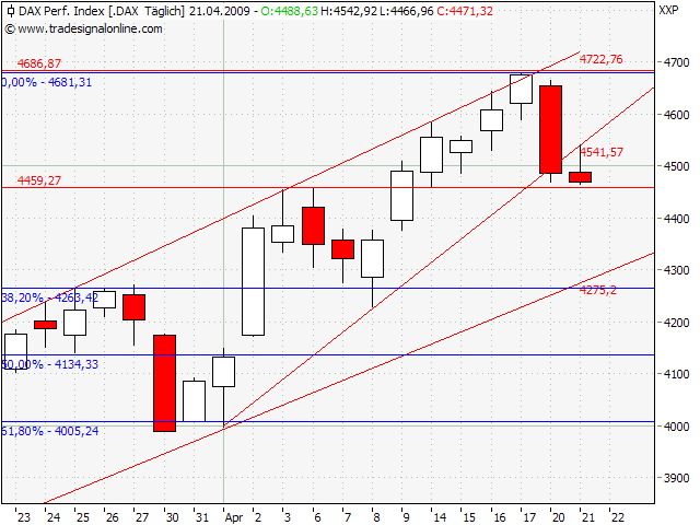 Die Bullen scharren gar nicht mit den Hufen, 228507