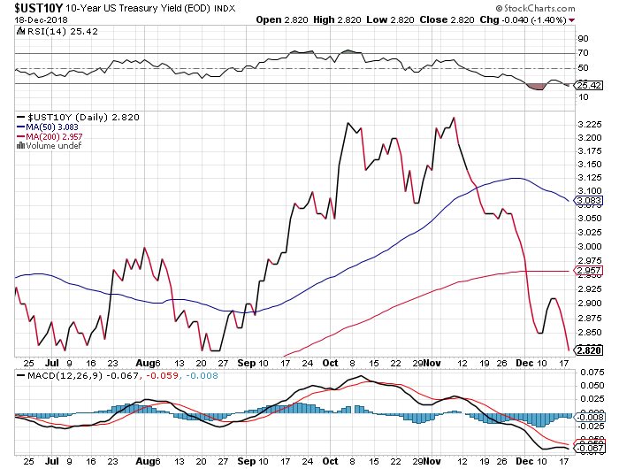 Der USA Bären-Thread 1088355