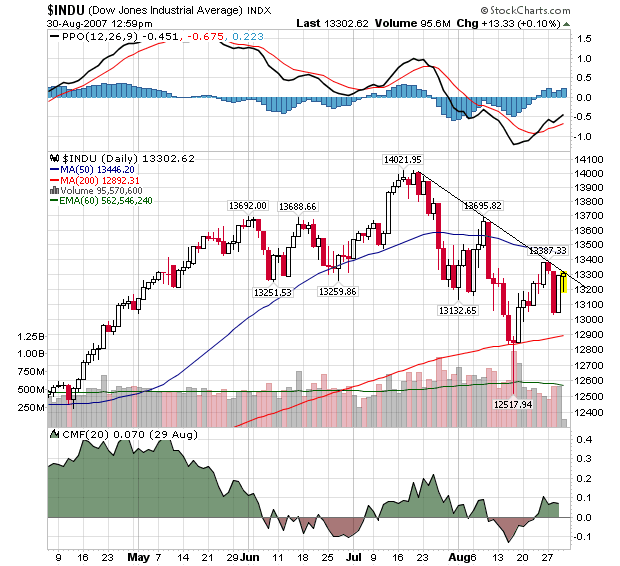 Der USA Bären-Thread 117548
