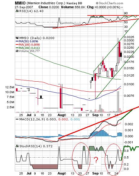 Ein möglicher Gewinner 2006 Marmion! 122535