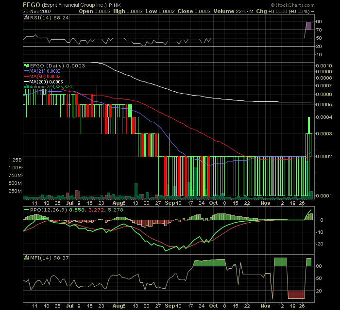 EFGO.PK Reverse Merger with Hebei Haorizi Company 134107