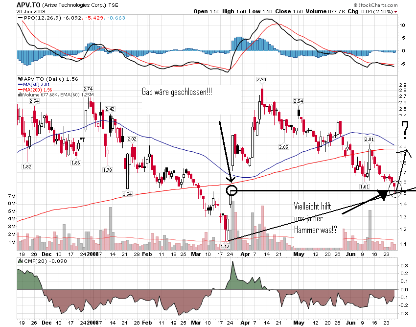 ARISE die canadische Solarperle ! 171813