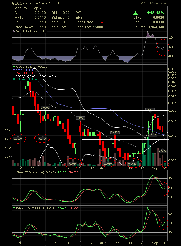 GLCC hebt ab +335% 185052