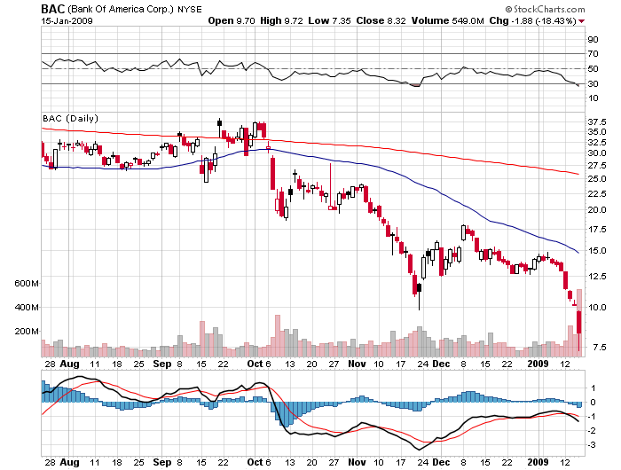 Der USA Bären-Thread 210726