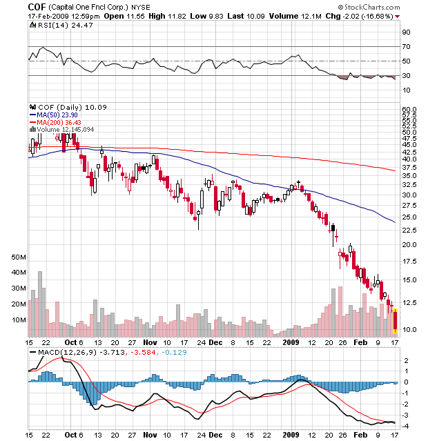 Der USA Bären-Thread 216974