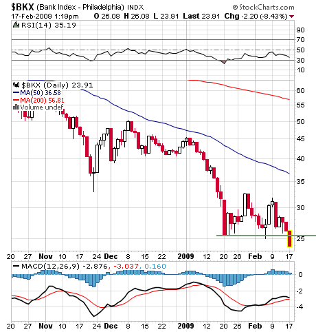 Der USA Bären-Thread 216977