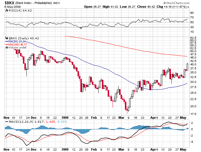 Der USA Bären-Thread 231579