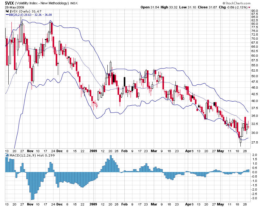 Die Bullen scharren gar nicht mit den Hufen, 235624