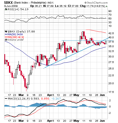 Der USA Bären-Thread 237008