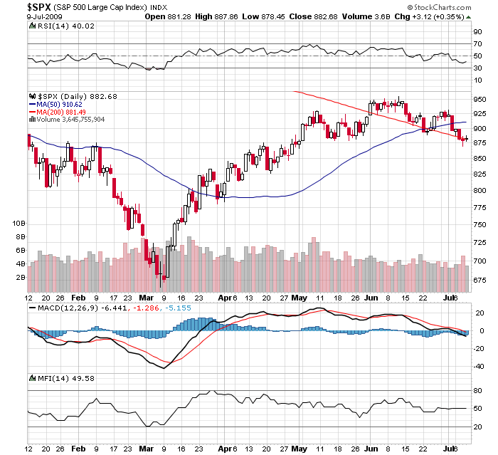 Der USA Bären-Thread 244189
