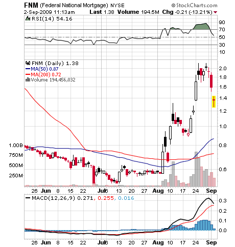 Der USA Bären-Thread 256706
