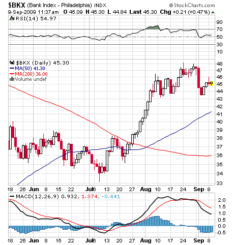 Der USA Bären-Thread 258342