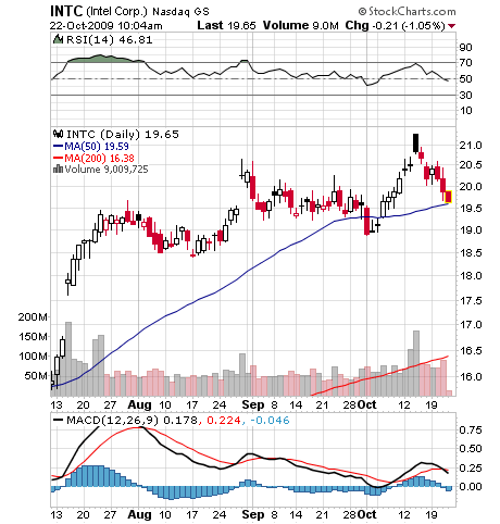 Der USA Bären-Thread 269138