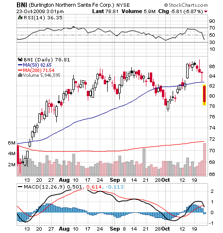 Der USA Bären-Thread 269510
