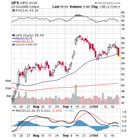 Der USA Bären-Thread 269513