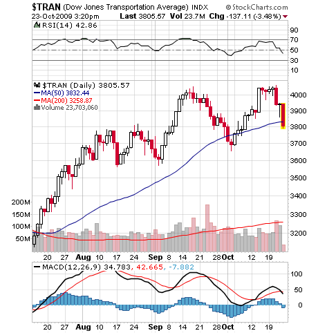 Der USA Bären-Thread 269515
