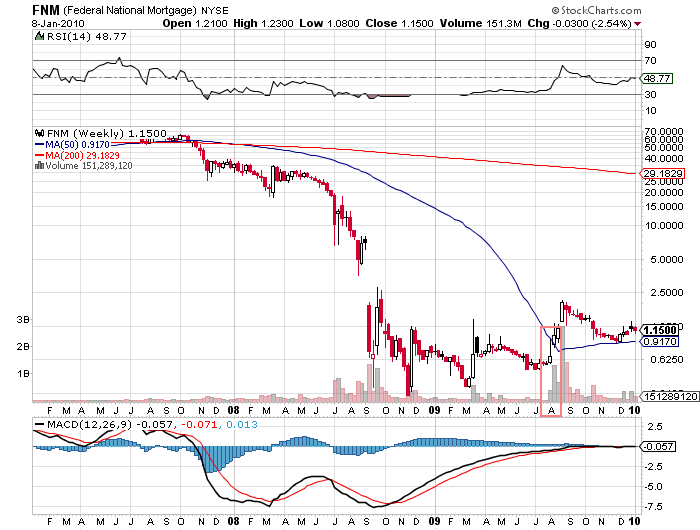 Der USA Bären-Thread 290113