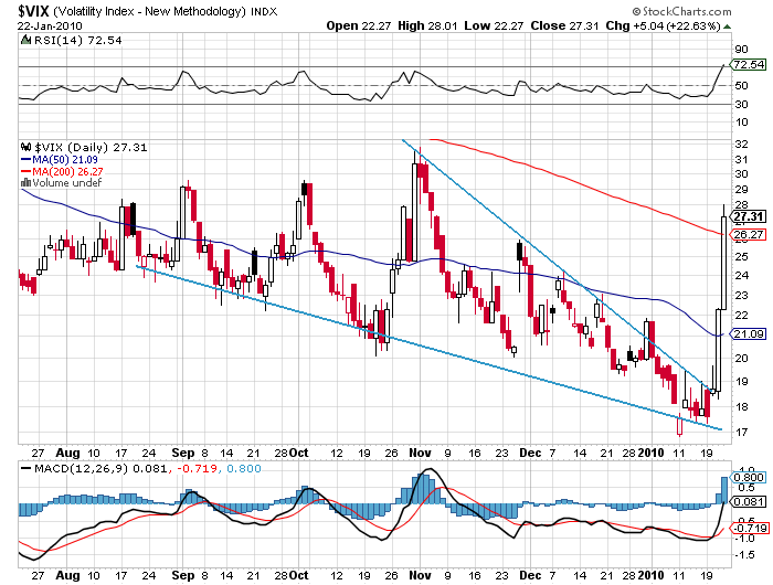 Der USA Bären-Thread 294422