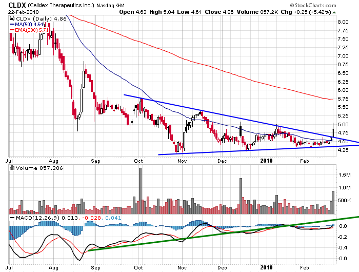 Celldex Therapeutics garantierte 100 % bis 06/10 301580
