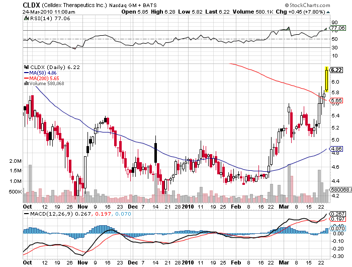 Celldex Therapeutics garantierte 100 % bis 06/10 308908