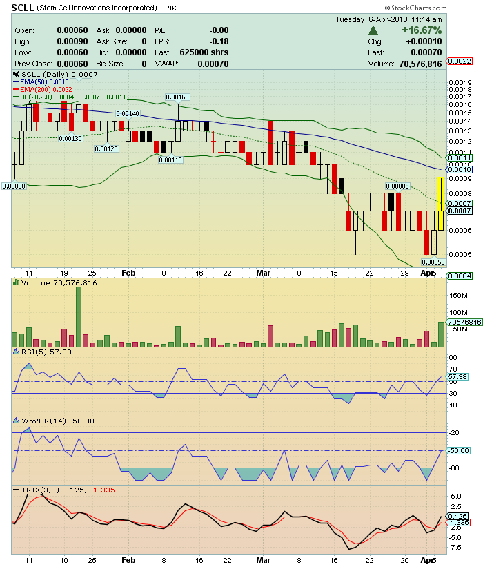 STEM CELL- mit STEM CELL gute Kursgewine erzielen 311519