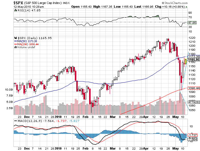 Der USA Bären-Thread 319734