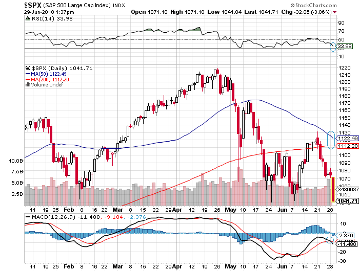 Der USA Bären-Thread 329484