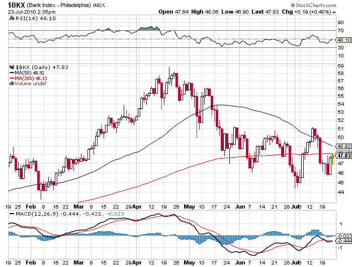 Der USA Bären-Thread 333765