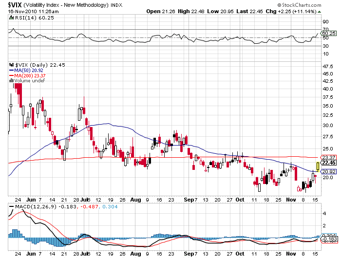 Der USA Bären-Thread 358833