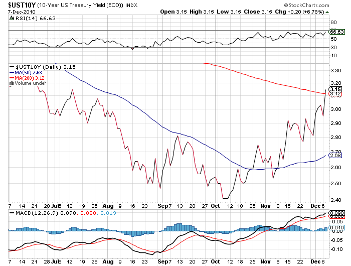 Der USA Bären-Thread 364400