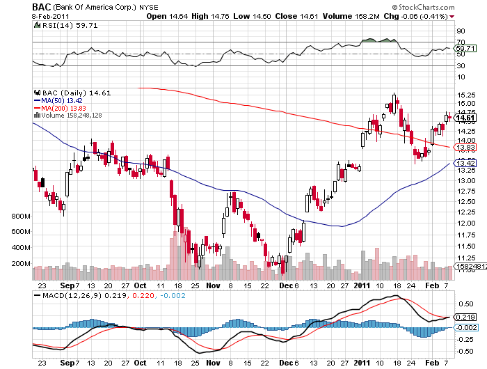 Der USA Bären-Thread 379502