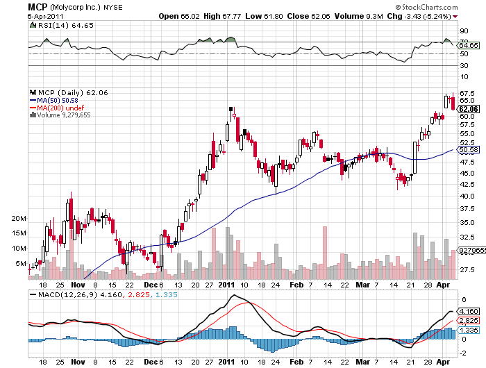 Bear Zocks - daily 393975