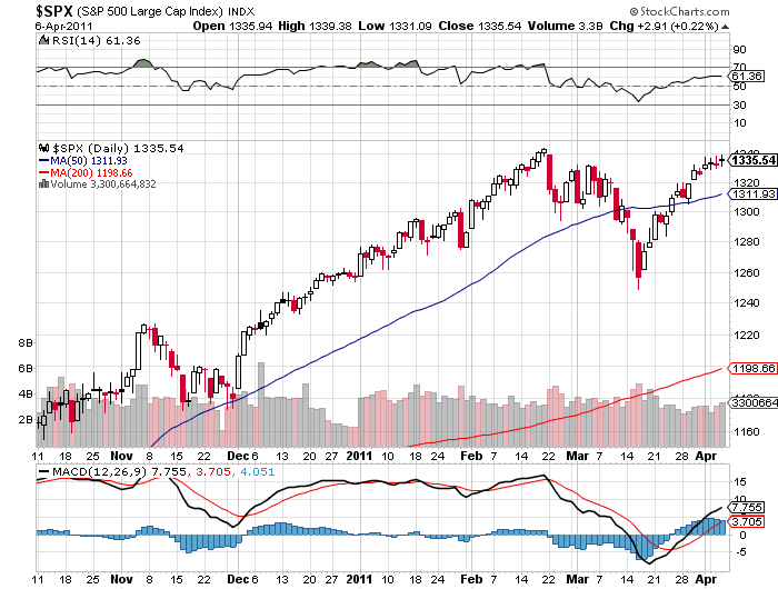 Bear Zocks - daily 393998