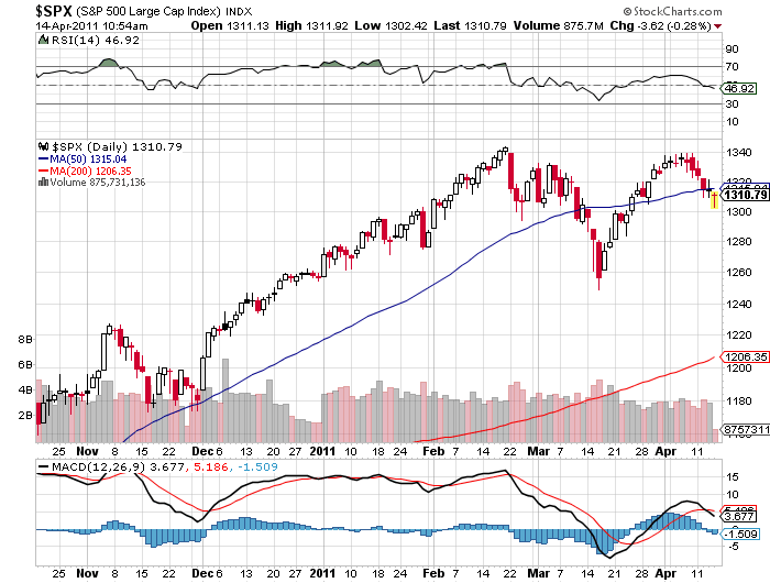 Bear Zocks - daily 395804