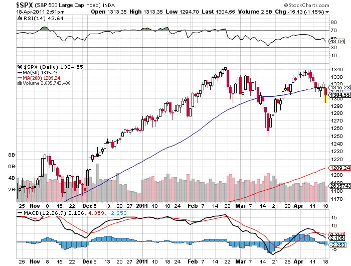 Bear Zocks - daily 396692