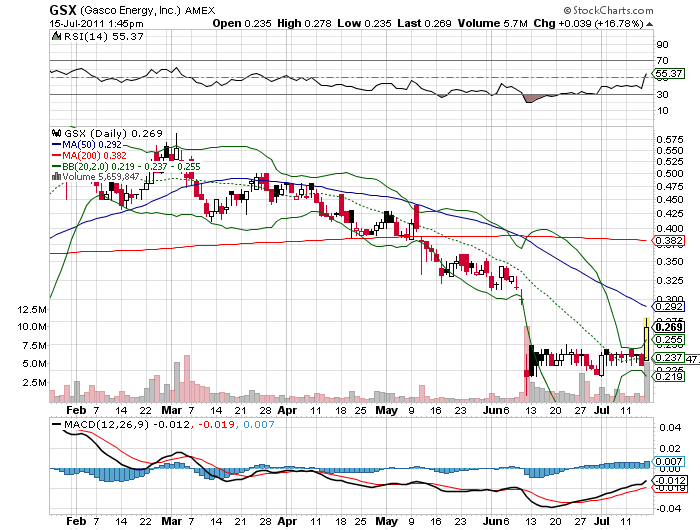 Wesleys Flugschule - US Auslese 421208