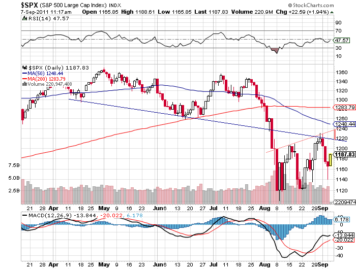 Der USA Bären-Thread 437042