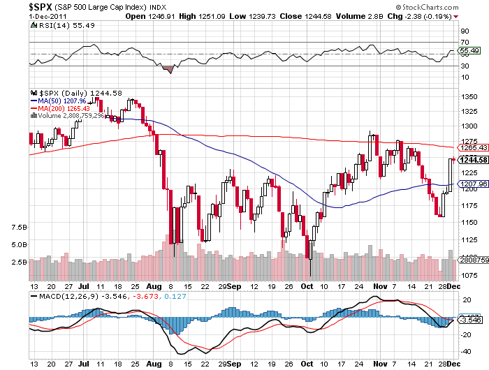 Der USA Bären-Thread 463222