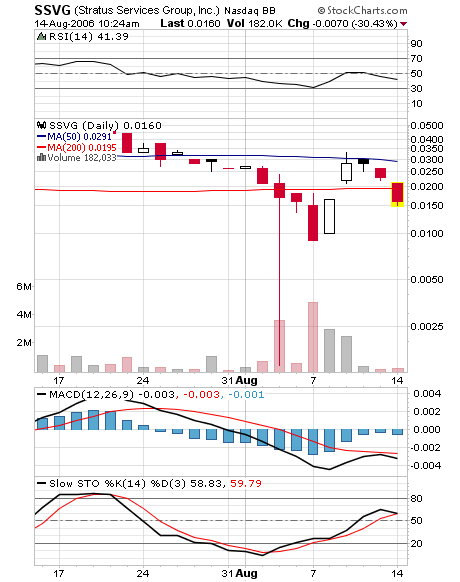 $$ Stratus Services Group Inc. $$ 51541