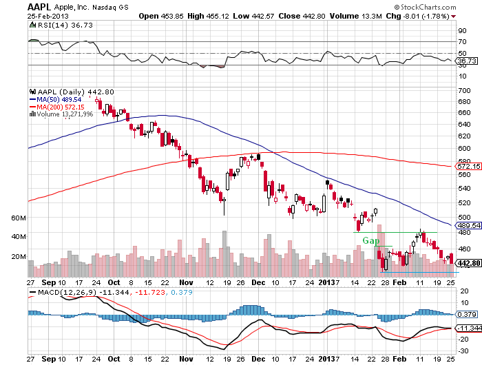 Der USA Bären-Thread 582470