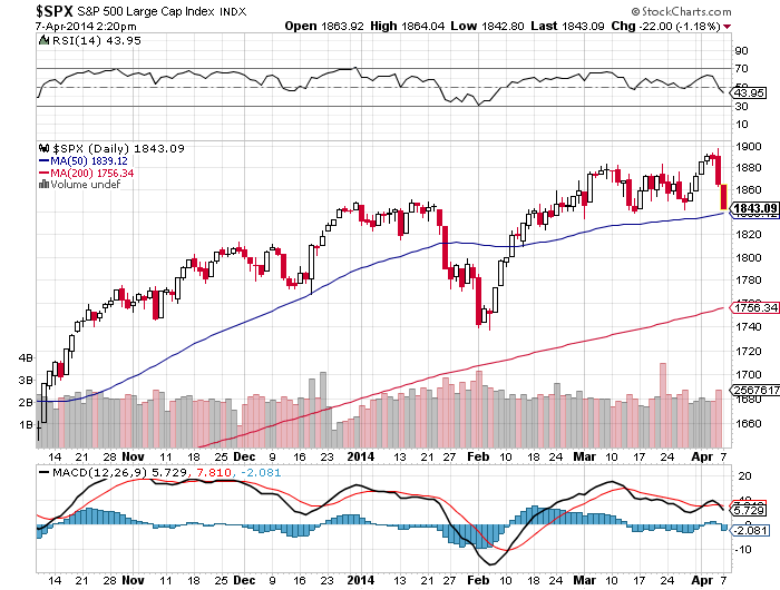Der USA Bären-Thread 711998