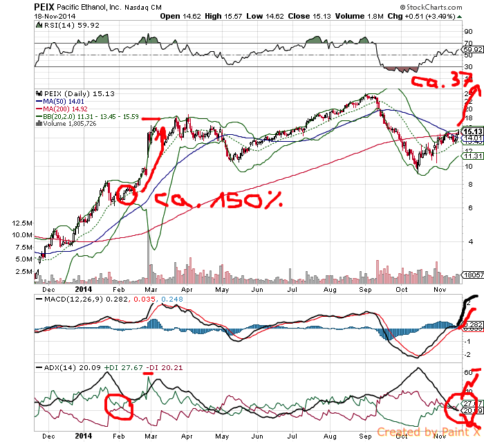 Goldman Sachs und Pacific Ethanol 774524