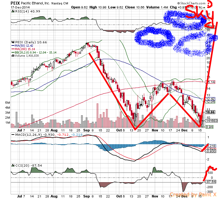 Goldman Sachs und Pacific Ethanol 782858