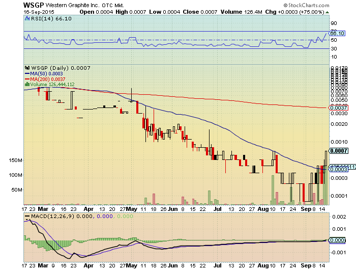 WSGP 0005 72.4%+ startet mit großen blöcken 858493